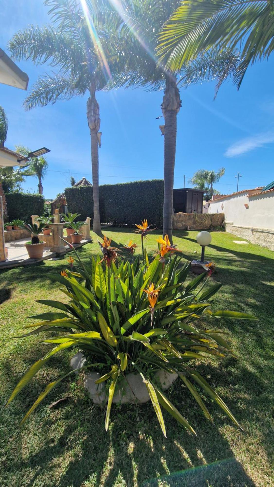 Villa Carlotta *